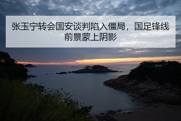 张玉宁转会国安谈判陷入僵局，国足锋线前景蒙上阴影