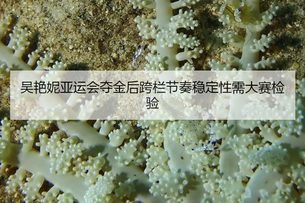 wu-yan-ni-ya-yun-hui-duo-jin-hou-kua-lan-jie-zou-wen-ding-xing-xu-da-sai-jian-yan-3-211.jpg
